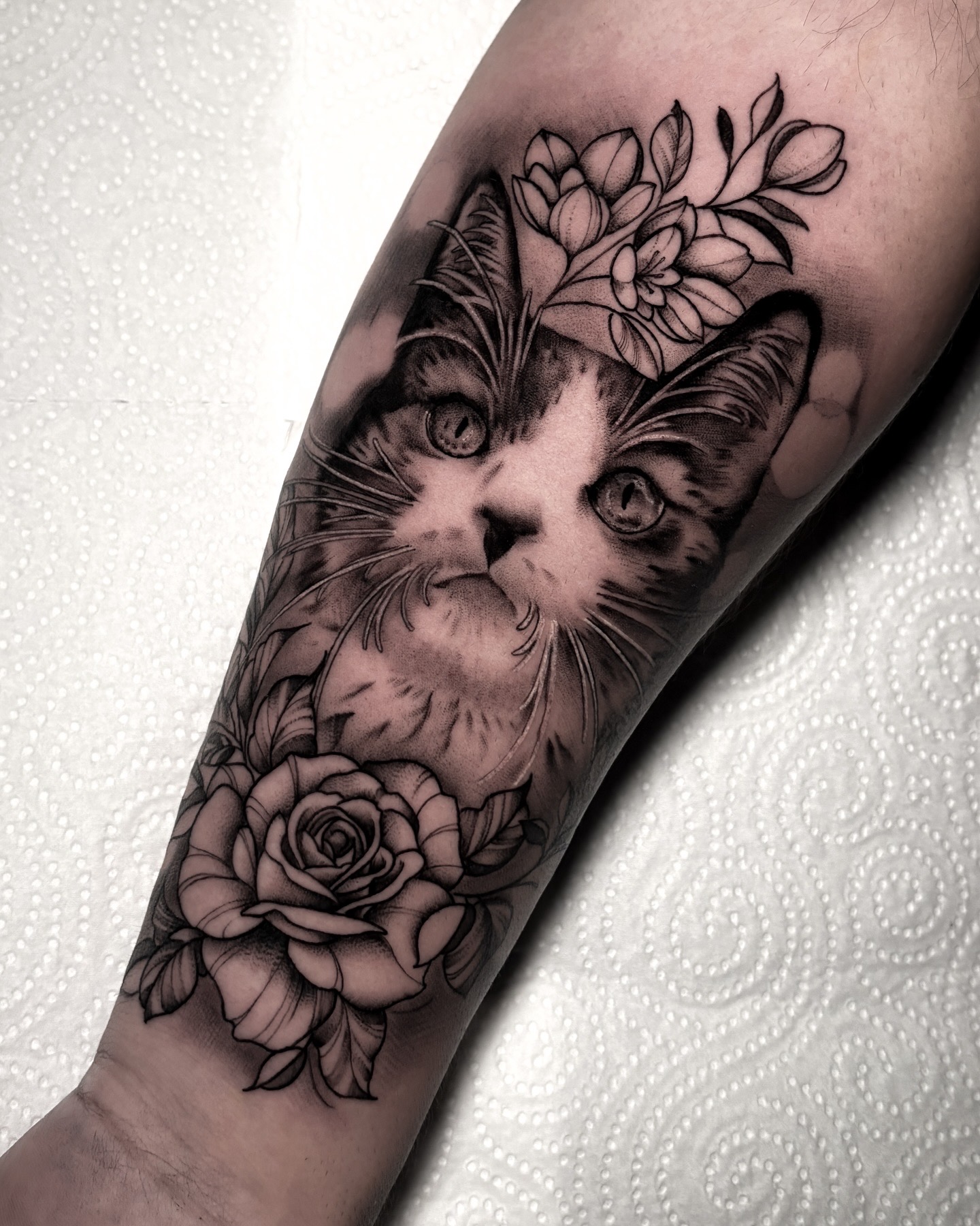 Tatuaje realismo retrato gato flores Brego Tattoo Verín Ourense