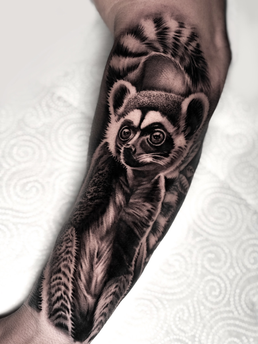 Tatuaje realismo lémur animal Brego Tattoo Studio Verín